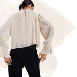Pleated Blouse